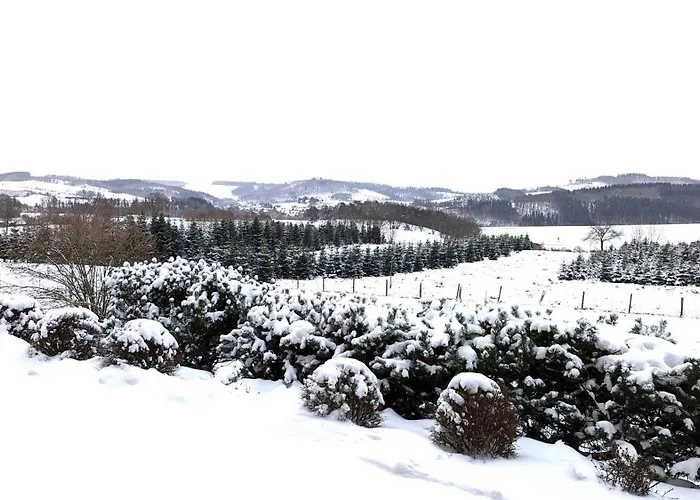 Haus Weitblick Appartement *