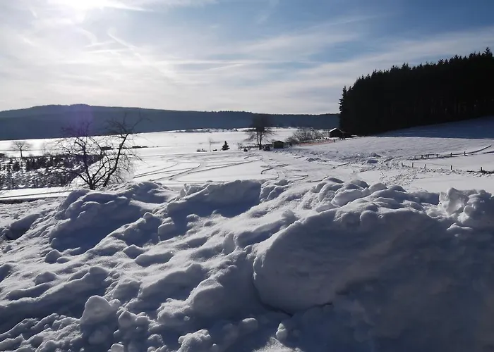 Haus Weitblick Appartement Medebach
