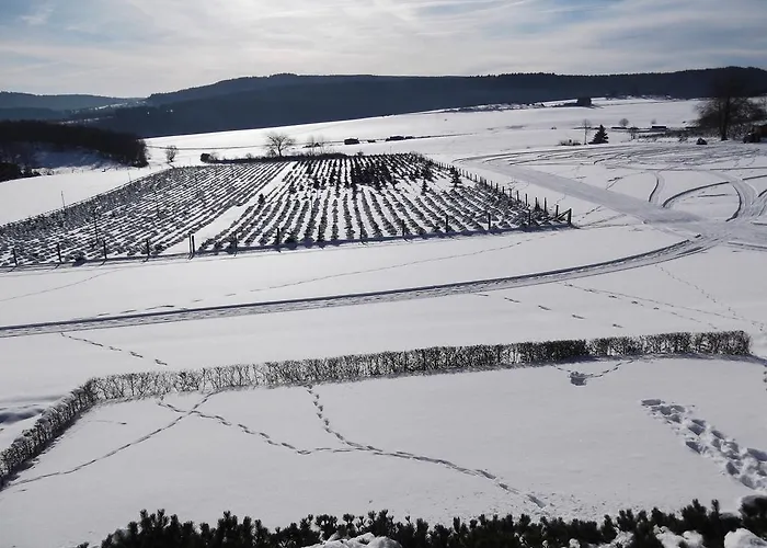 Haus Weitblick Appartement
